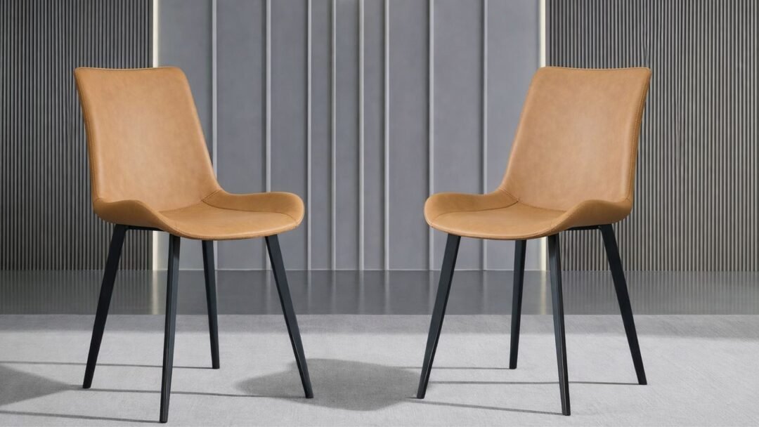 lot de 2 chaises salon pas cheres